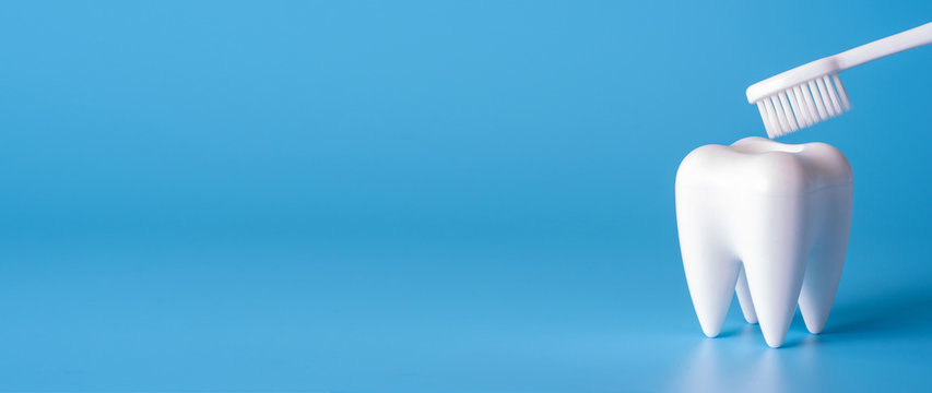 خدمات dentist در نوبیتو
